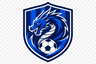 축구시티즌FC 로고